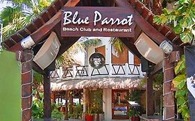 Blue Parrot Suites Playa Del Carmen