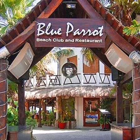 Blue Parrot Suites Playa del Carmen Exterior foto