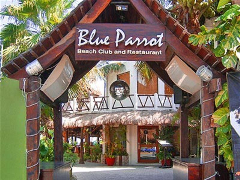 Blue Parrot Suites Playa del Carmen Exterior foto
